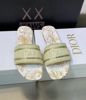DIOR Slides