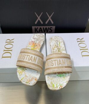 DIOR Slides