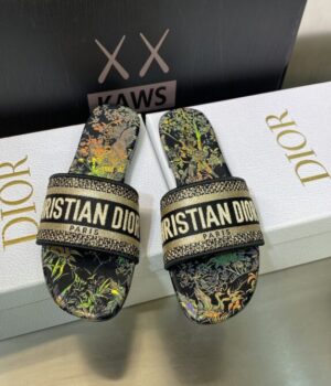 DIOR Slides