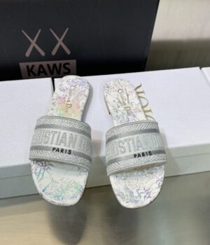 DIOR Slides