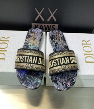 DIOR Slides