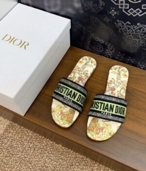 DIOR Slides