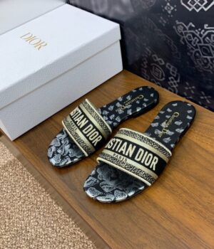 DIOR Slides