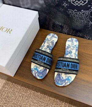 DIOR Slides