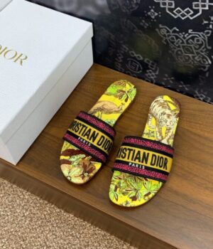 DIOR Slides