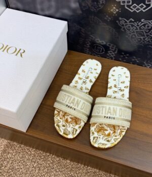 DIOR Slides