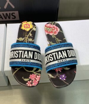 DIOR Slides