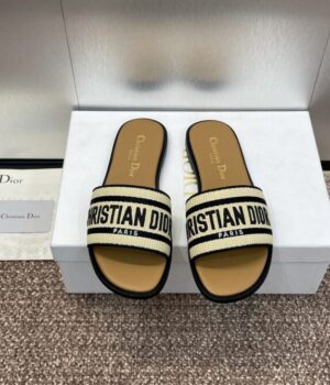 DIOR Slides