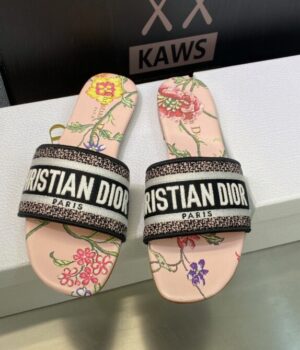 DIOR Slides