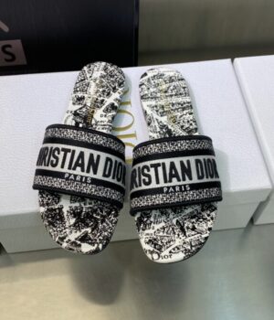 DIOR Slides