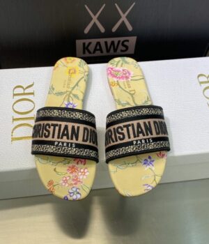 DIOR Slides