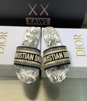 DIOR Slides