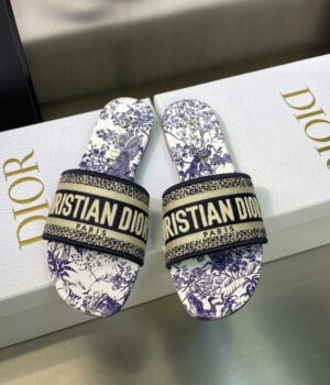 DIOR Slides