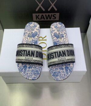 DIOR Slides