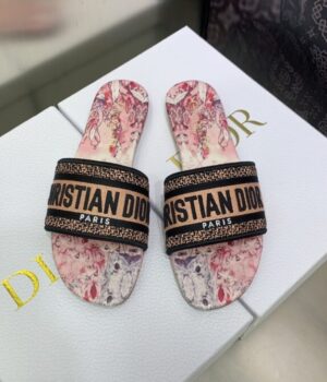 DIOR Slides