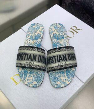 DIOR Slides