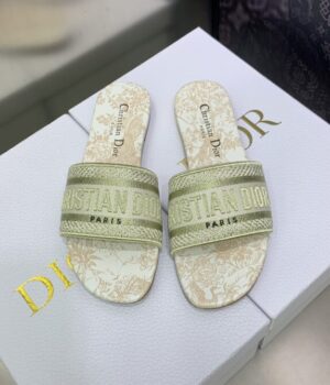 DIOR Slides