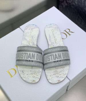DIOR Slides