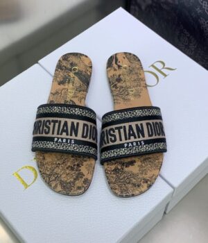 DIOR Slides