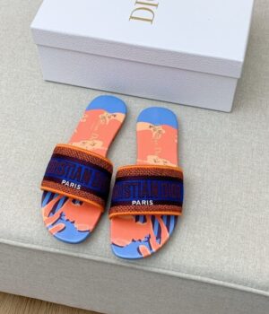 DIOR Slides
