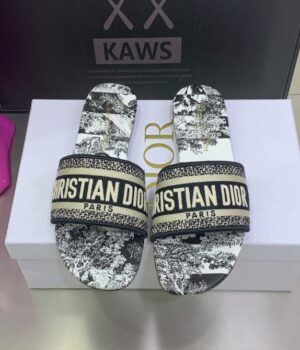 DIOR Slides