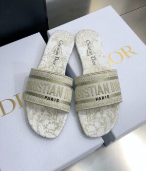 DIOR Slides