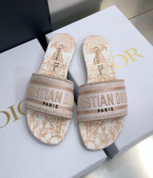 DIOR Slides