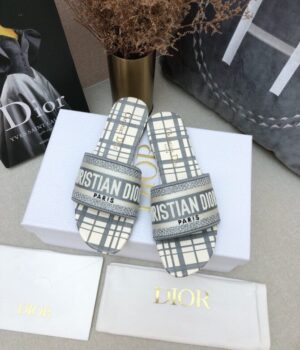 DIOR Slides