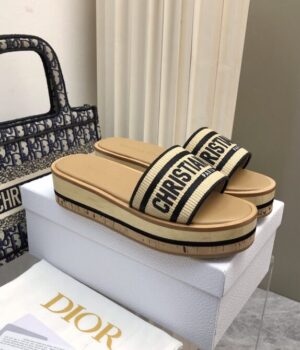 DIOR Slides