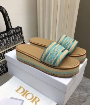 DIOR Slides