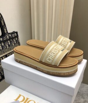 DIOR Slides