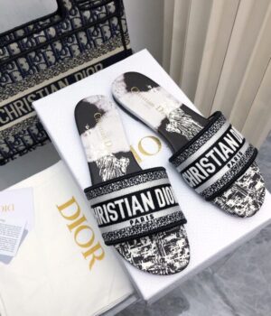 DIOR Slides