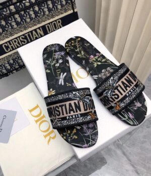 DIOR Slides