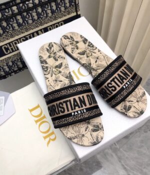DIOR Slides