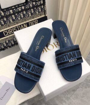 DIOR Slides