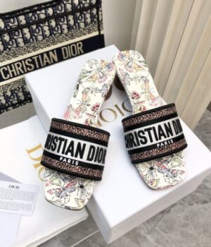 DIOR Slides