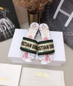 DIOR Slides