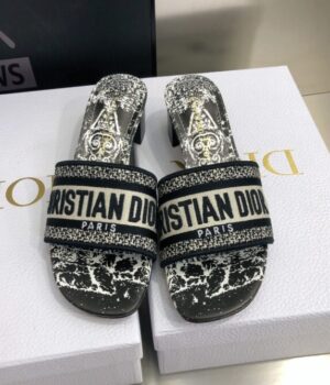 DIOR Slides