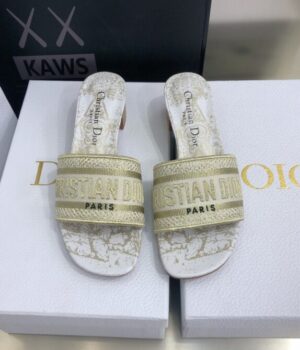 DIOR Slides