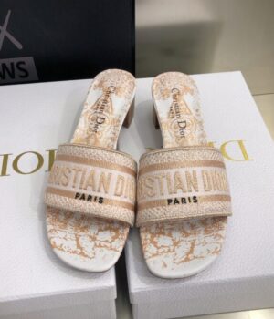 DIOR Slides