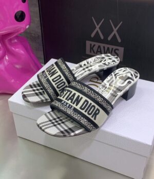 DIOR Slides