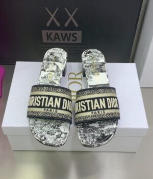DIOR Slides