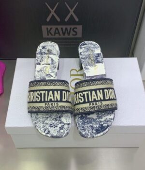 DIOR Slides