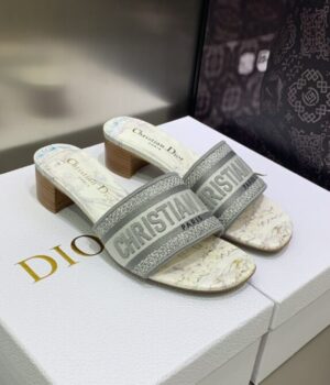 DIOR Slides