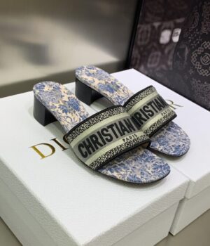 DIOR Slides