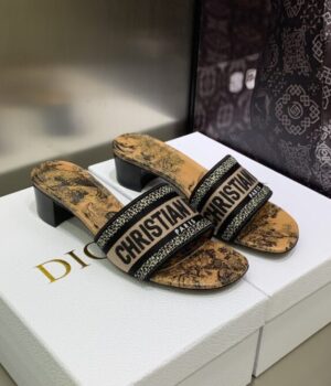 DIOR Slides
