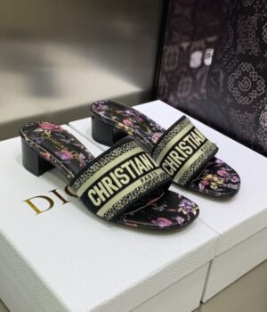 DIOR Slides