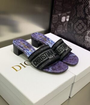 DIOR Slides