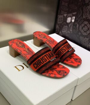 DIOR Slides