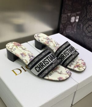 DIOR Slides